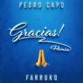 Gracias (Remix) (ft. Farruko)