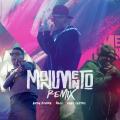 Canción Monumento Remix (ft. Ñejo, Andy Rivera)