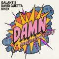 Damn (You've Got Me Saying) (ft. David Guetta, MNEK)