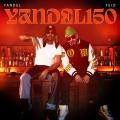 Yandel 150 (ft. Feid)