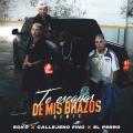 Te Escapas De Mis Brazos (Remix) (ft. Callejero Fino, El Perro)