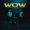 WOW (ft. Neo Pistea, Lucho SSJ, Obie Wanshot)
