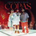 Copas (ft. Jowell Y Randy)