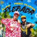 Plebada (ft. Peso Pluma)