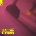 Need You Now (ft. Jax Jones)