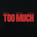 TOO MUCH (ft. Jung Kook, Central Cee)