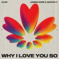 Why I Love You So (ft. James Hurr, Supafly)