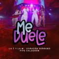 Canción Me Duele (ft. La T y La M)