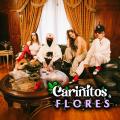Cariñitos Y Flores (ft. Kris R.)