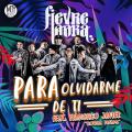 Para Olvidarme De Ti (ft. Tropical Panama)