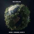 My Influence (ft. Juicy J)
