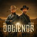 Canción Me Está Doliendo (ft. Alejandro Fernández)