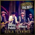 Canción Ojalá Te Animes