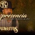 Sin Tu Presencia