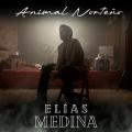 Canción Dime Que No