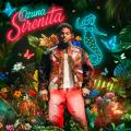 Canción Sirenita