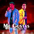 Canción Me gustas