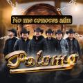 Canción No Me Conoces Aún (ft. Palomo)