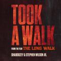 Took A Walk (ft. Stephen Wilson Jr.)