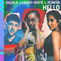 Hello (ft. Leigh-Anne, Jonita Gandhi)