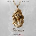 Canción Princesa (ft. Feid)