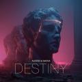Canción Destiny (ft. SACHA)