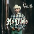 Canción Me Duele