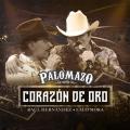 Corazón De Oro (ft. Lalo Mora)