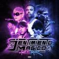 Sentimiento Mágico (Remix) (ft. SINAKA, Paulo Londra, Zion, FLouses)