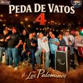 La Carta Que Nunca Envie (ft. Palominos)
