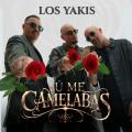 Tú Me Camelabas