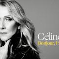 Bonjour, Pardon, Merci
