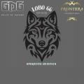 Lobo 66