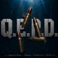 Q.E.P.D. (ft. Farruko, Hanzel La H, Fronti)