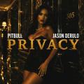 Canción Privacy (ft. Jason Derulo)