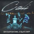 Canción Cali (ft. Gabito Ballesteros, El Bogueto, Calle 24)