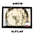 Ants
