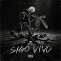 Canción Sigo Vivo