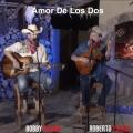 Canción Amor De Los Dos (ft. Roberto Pulido)