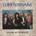 Give Me All Your Love