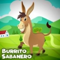 Burrito Sabanero