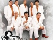 Alacranes Musical