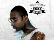Yoky Barrios