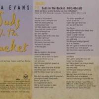 Canción 'Suds In The Bucket' interpretada por Sara Evans Canción 'Suds In The Bucket' interpretada por Sara Evans