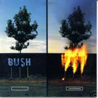 'Swallowed' de Bush Swallowed - Bush
