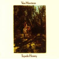 Wild Night Wild Night de Van Morrison