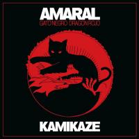 'Kamikaze' de Amaral Letra Kamikaze Amaral