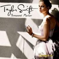 Canción 'Permanent Marker' interpretada por Taylor Swift Canción 'Permanent Marker' interpretada por Taylor Swift
