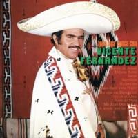 Desvelo de amor Desvelo de amor de Vicente Fernández