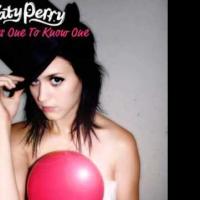 Canción 'Takes one to know one' interpretada por Katy Perry Canción 'Takes one to know one' interpretada por Katy Perry